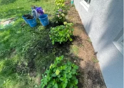 Affordable Landscape Contractor