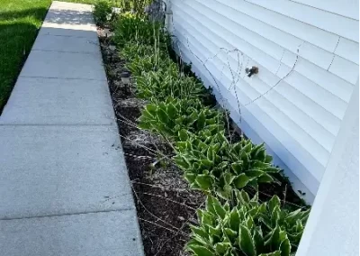 Affordable Landscaping Contractor