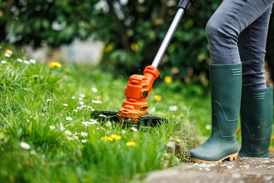 Affordable Lawn Care Service Carpentersville, IL