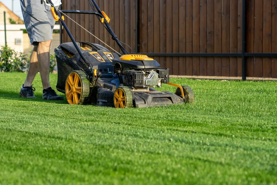 Benefits Of Hiring Professionals For Lawn Mowing Services Carpentersville, IL