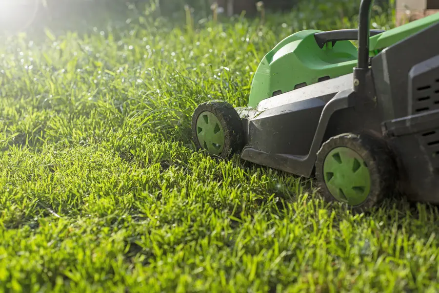Benefits Of Hiring Professionals For Lawn Mowing Services in Carpentersville, IL