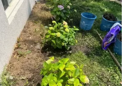 Best Landscape Services