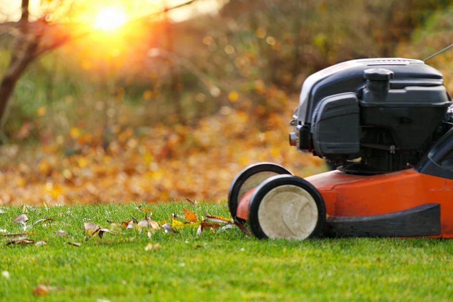 Common Lawn Problems And How Care Services Address Them in Gleneagle Farms, Carpentersville, IL 60110