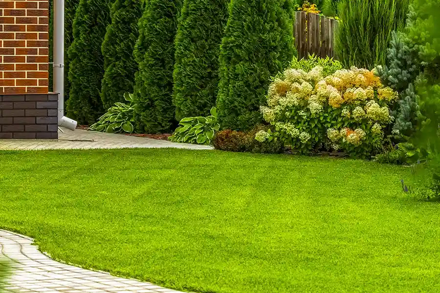 Excellent Lawn Care Service Carpentersville, IL