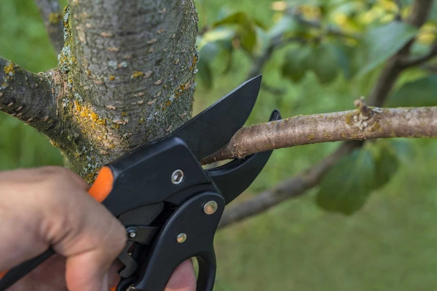 Professional Pruning Hills of West Dundee, Carpentersville, IL 60110 A team pruning a tree in Hills of West Dundee, Carpentersville, IL 60110