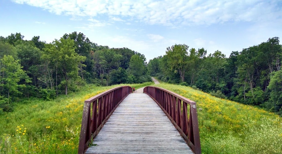 Raceway Woods County Forest Preserve during sunset Oak Meadows, Carpentersville, IL 60110