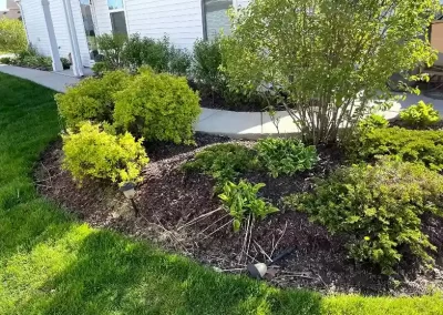 Reliable Landscape Services