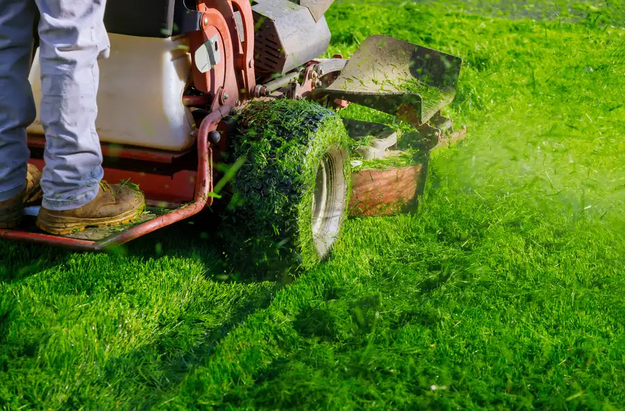 Reliable Lawn Mowing Carpentersville, IL