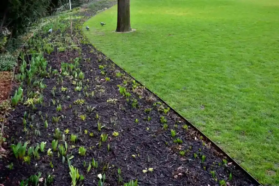 Top-rated Lawn Edging Carpentersville, IL