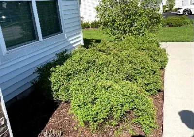 Trusted Landscape Services