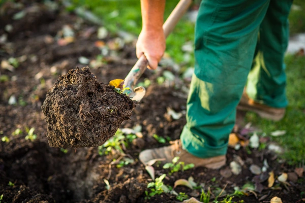 Seasonal Timing Tips for Effective Landscape Mulching in Keele Farms Carpentersville IL 60110